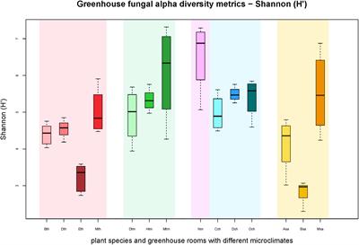 Leaves of Indoor Ornamentals Are Biodiversity and Functional Hotspots for Fungi